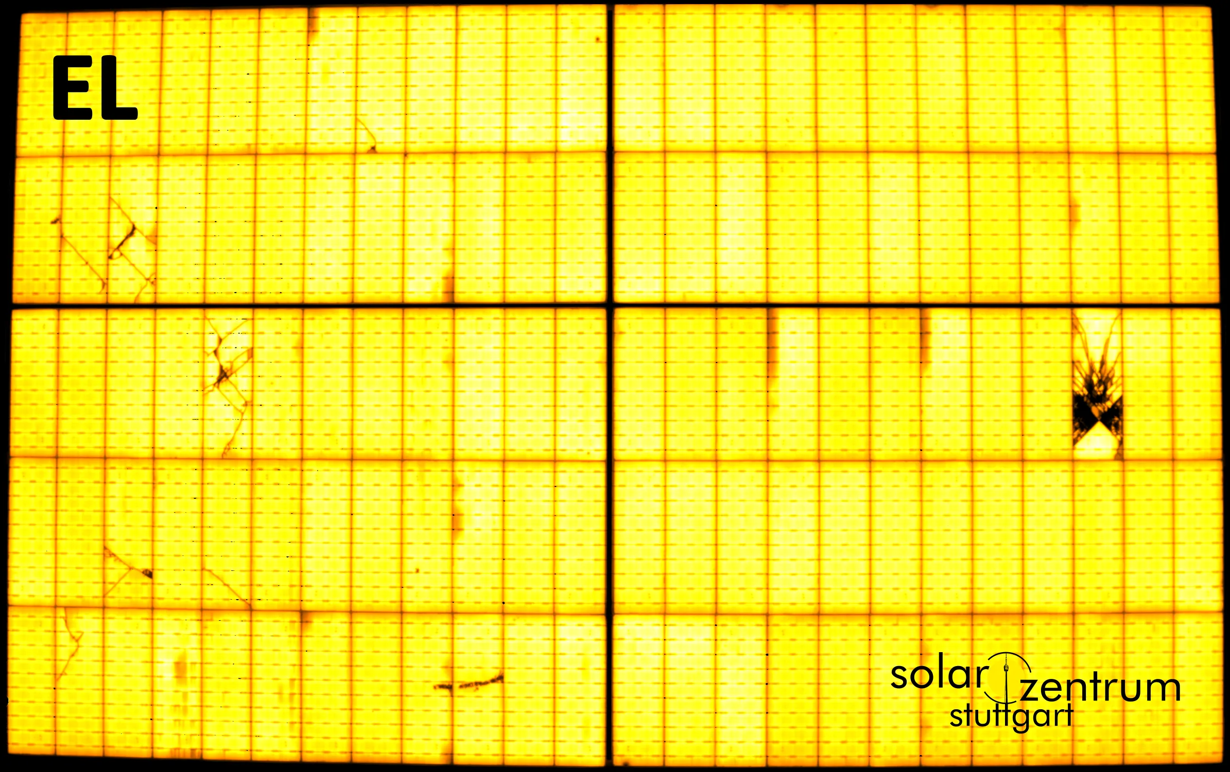 Elektrolumineszenz (EL) von dem getesteten Trina Solar Modul