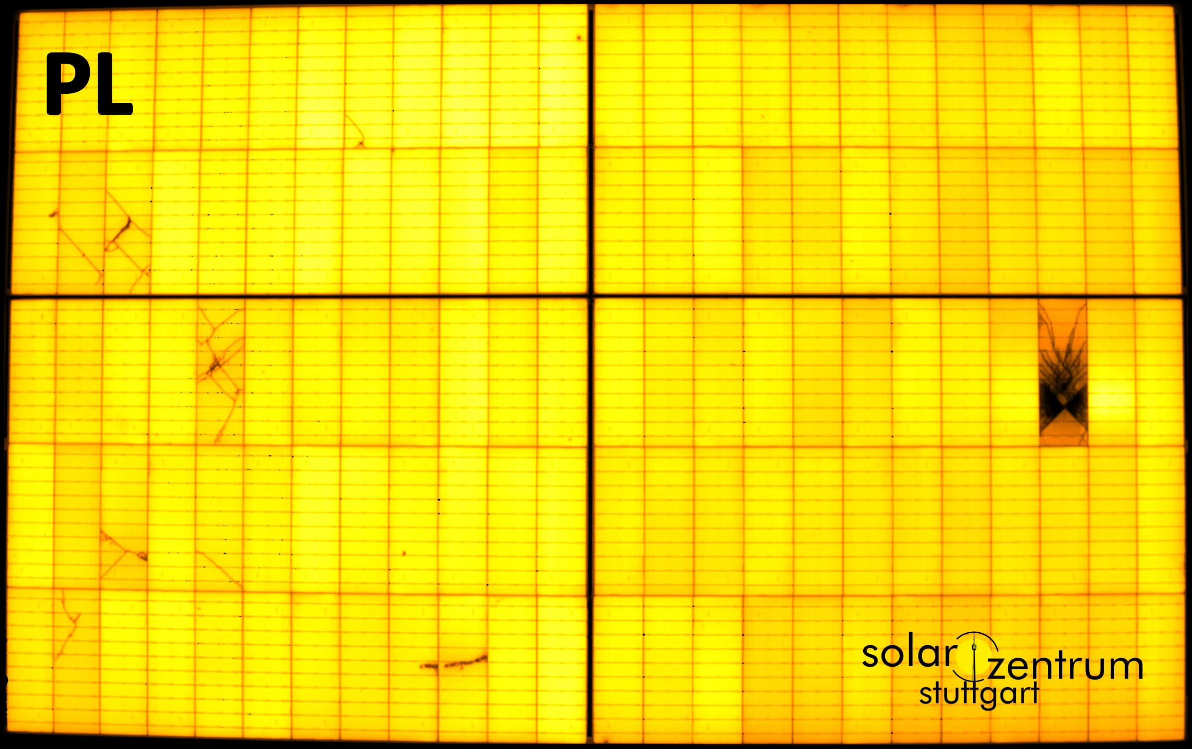 Photolumineszenz (PL) von dem getesteten Trina Solar Modul